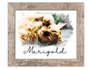 Pet Memorial Watercolor Portrait | Custom Framed Portrait from Photo-3
