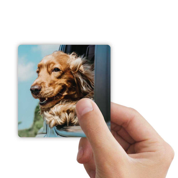 Acrylic Photo Magnets - Set of 4