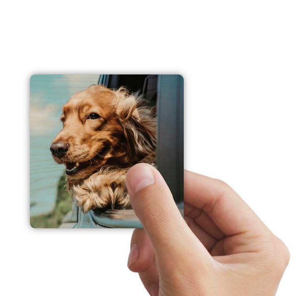 Vintage Wood Grain Photo Magnets - Set of 4