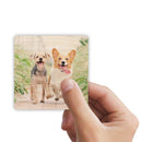 Vintage Wood Grain Photo Magnets - Set of 4-1