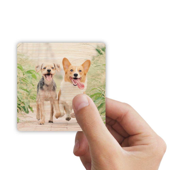 Vintage Wood Grain Photo Magnets - Set of 4