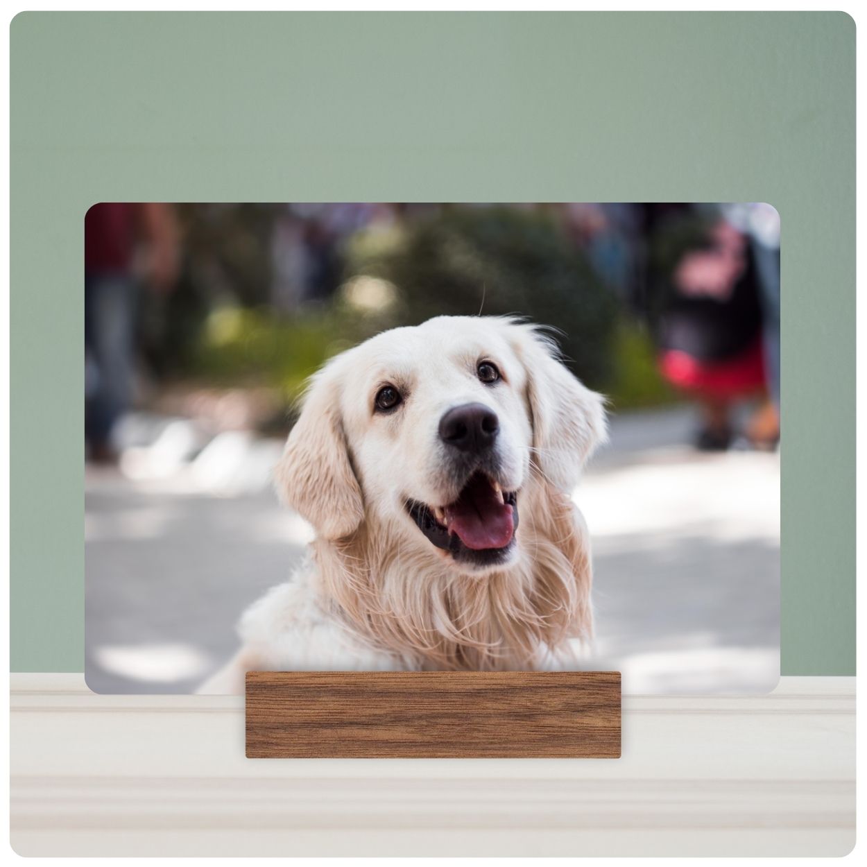 Wood Photo Plaques