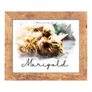 Red Bird Gift Company custom watercolor pet memorial portrait of a cat named Marigold in a rustic brown pine frame.